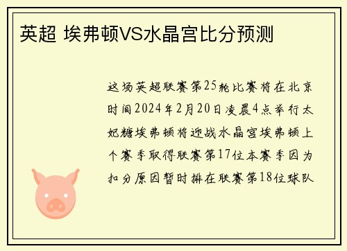 英超 埃弗顿VS水晶宫比分预测